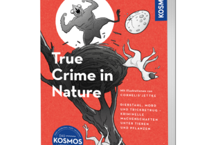 Bildervortrag: True Crime in Nature | © Farina Graßmann