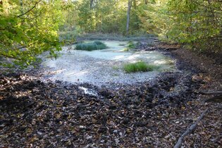 Biotop und Aussichtspunkt Rohrensee in Schönfeld | © Gemeinde Großrinderfeld