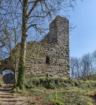 DSGVO NZT Güglingen Burgruine Blankenhorn Eibensbach WEB | © faktorzwei GmbH