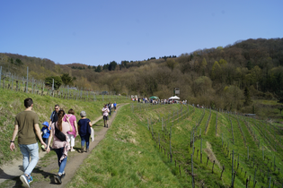 Blütenwegfest Bergstraße