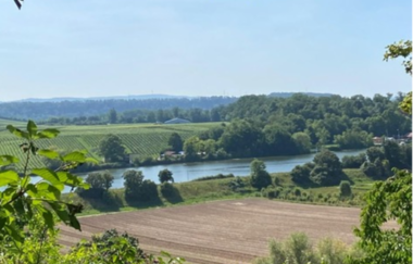 Ausblick vom Römerhof auf den Neckar | © Lauffener Weingärtner eG