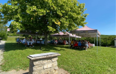 Blick auf den Brunch im Weinberg | © Lauffener Weingärtner eG