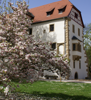 Burgentour rund um Sinsheim | © Landratsamt Rhein-Neckar-Kreis