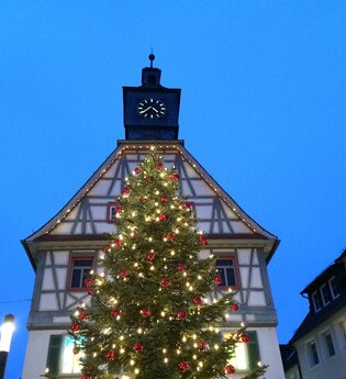 Weihnachtsbaum am Alten Rathaus in Künzelsau | © Hohenlohe Künzelsau
