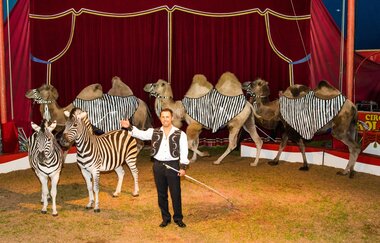 Circus Alberti
