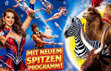 Circus Alberti