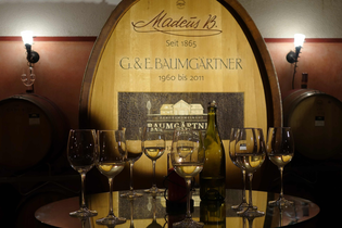 Cuvées kreieren mit dem Kellermeister | © Panoramaweingut Baumgärtner