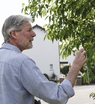Das ABC der Bäume – eine Baumsammlung ganz besonderer Art | © Stadt Weinheim