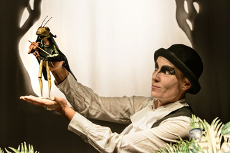 Künstler mit Hut und einer Grille auf seiner Hand. Diese hält eine Geige