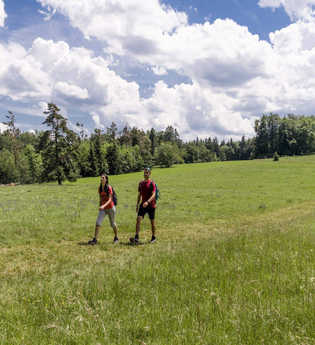 Mann und Frau laufen auf Weg einer Wiese | © TMBW