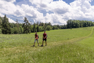 Mann und Frau laufen auf Weg einer Wiese | © TMBW