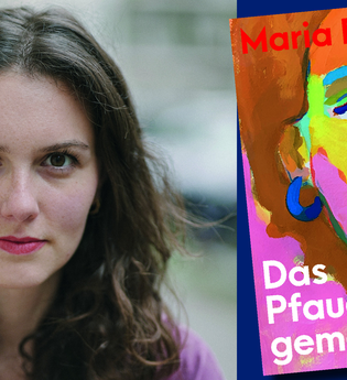 Das Pfauengemälde | © Alexandra Bidian, Paul Zsolnay Verlag