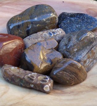 Den "Enz-Edelsteinen" auf der Spur - Exkursion zu Fundstellen uralter Schätze