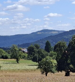 Den Katzenbuckel im Blick
