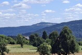 Den Katzenbuckel im Blick