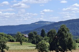 Den Katzenbuckel im Blick