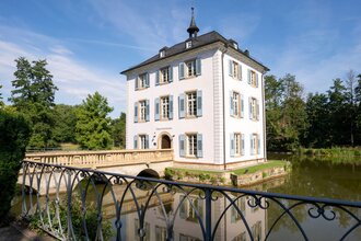 Der Froschkönig – Was wirklich geschah: Hipp und Hopp retten Papa Grünsprung