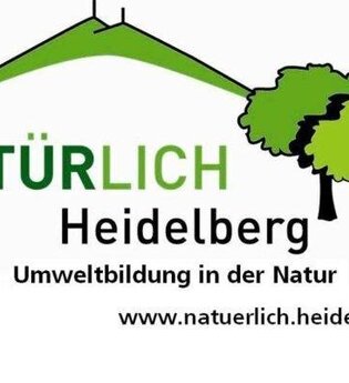 Der Historische Pfad