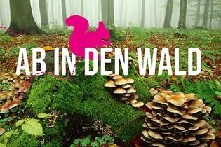 Waldmotiv