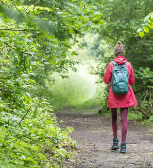 Der Künzelsauer Wartbergturm | © TMBW