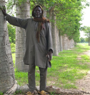 Der Mann, der Affenbrotbäume pflanzt – L'homme qui plante des baobabs