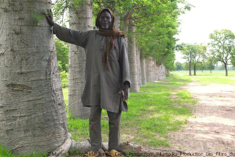 Der Mann, der Affenbrotbäume pflanzt – L'homme qui plante des baobabs