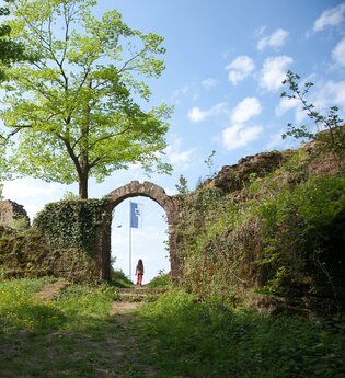 Der Neckar und die Ritter 1 | © Landratsamt Rhein-Neckar-Kreis