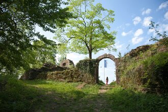 Der Neckar und die Ritter 1 | © Landratsamt Rhein-Neckar-Kreis