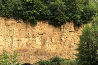 Der Schatz am Kallenbergsee