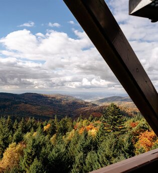 Dichte Wälder, aussichtsreiche Höhen, malerische Täler und mystische Orte | © Landratsamt Rhein-Neckar-Kreis