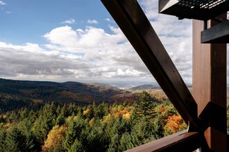 Dichte Wälder, aussichtsreiche Höhen, malerische Täler und mystische Orte | © Landratsamt Rhein-Neckar-Kreis