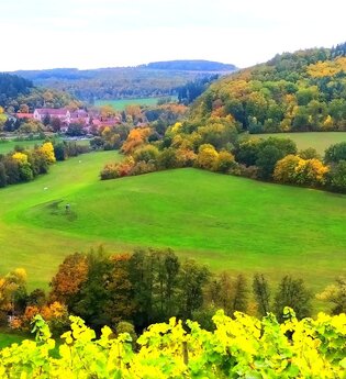 Die Geschichte des Weines - zum Hören und schmecken | © Unbekannt