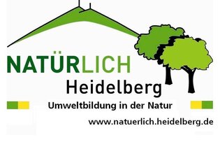 Die Geschichten der historischen Denkmäler