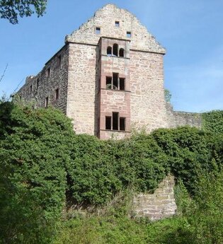 Die Ritter und der Neckar