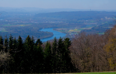 Die Wunderwelt der Bienen | Gläserne Imkerei 2026 | © Schwarzwaldverein Radolfzell