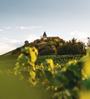 Michaelsberg Cleebronn | Heilbronn | © Touristikgemeinschaft HeilbronnerLand