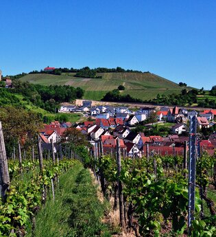 Panoramasicht auf die Gemeine Cleebronn