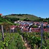 Panoramasicht auf die Gemeine Cleebronn