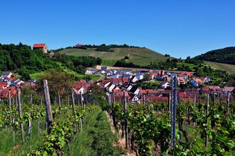 Panoramasicht auf die Gemeine Cleebronn
