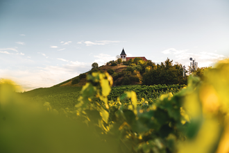 Michaelsberg Cleebronn | Heilbronn | © Touristikgemeinschaft HeilbronnerLand