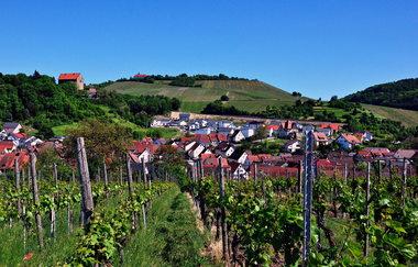 Panoramasicht auf die Gemeine Cleebronn | © Gemeinde Cleebronn