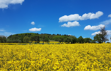 Dreiländertour BW-H-BY | © Ralf Kochendörfer