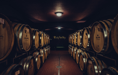 Privatkellerei Rolf Willy | HeilbronnerLand | © Touristikgemeinschaft HeilbronnerLand