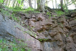 Durch die Schweiz ins Meer - Buntsandstein | © Schwarzwaldverein Radolfzell