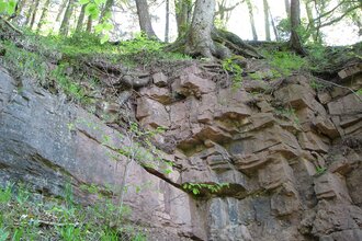 Durch die Schweiz ins Meer - Buntsandstein | © Schwarzwaldverein Radolfzell