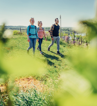 Eine Familie wandert den Weinwanderweg am Krappenfelsen durch die Weinberge entlang. | © Touristikgemeinschaft HeilbronnerLand