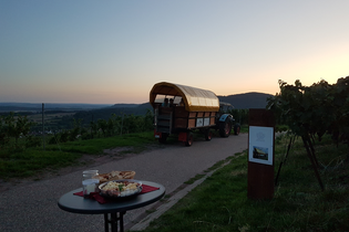 Eine laue Sommernacht | © Weingut Weiberle
