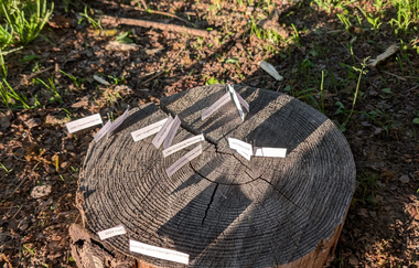 Empowerment Nature für Frauen