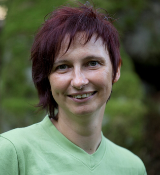 Schwäbische Toskana - Rundwanderung und Naturparkzentrum | Naturpark Stromberg-Heuchelberg | © Neckar-Zaber-Tourismus e.V.