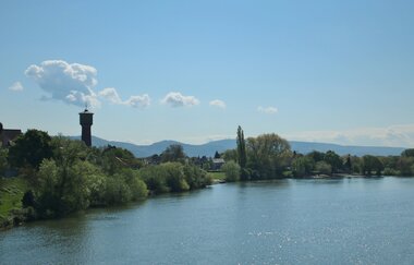 Entlang des Neckars von Mannheim zur Schwabenheimer Schleuse